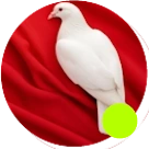rtacyyv
